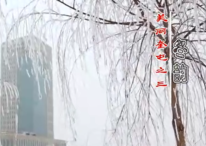 美丽奎屯之三冬韵